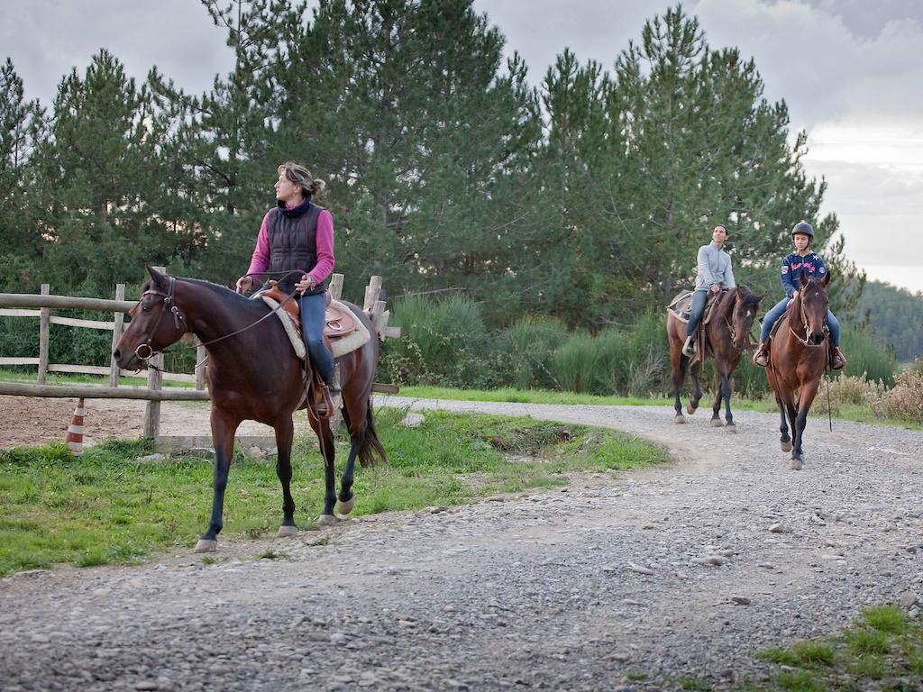 Tenuta La Silva Seggiano Exteriér fotografie