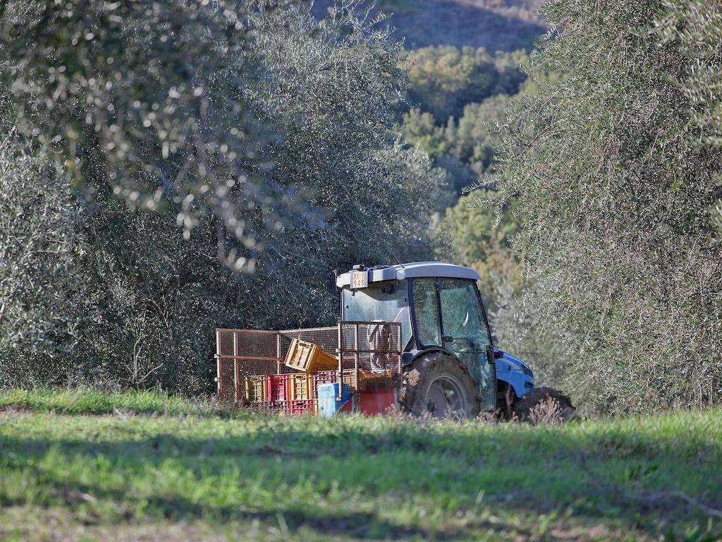 Tenuta La Silva Seggiano Exteriér fotografie