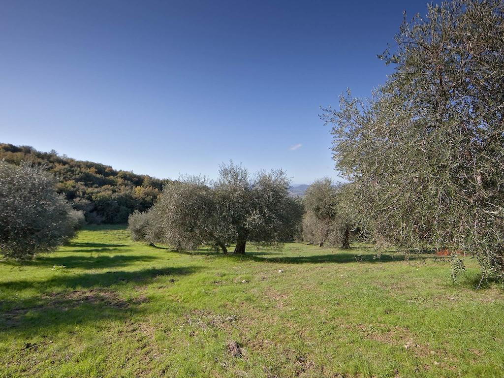 Tenuta La Silva Seggiano Exteriér fotografie
