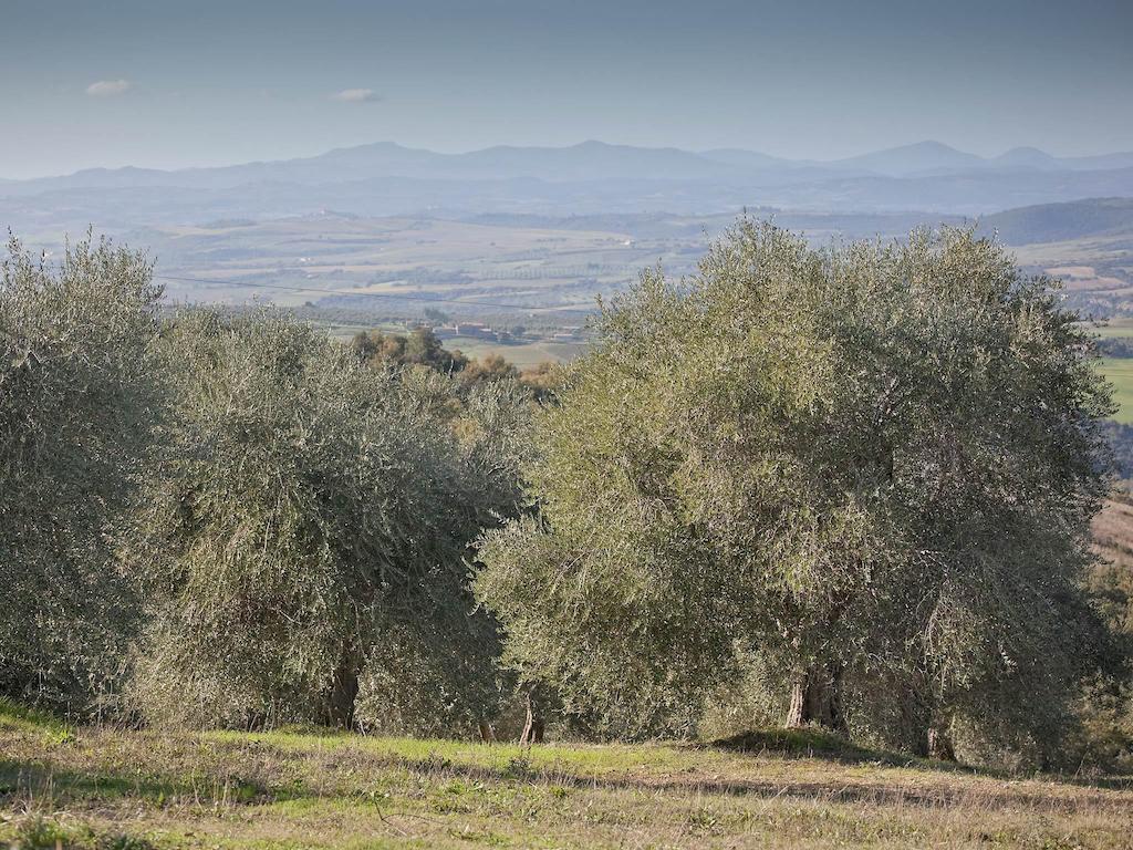 Tenuta La Silva Seggiano Exteriér fotografie