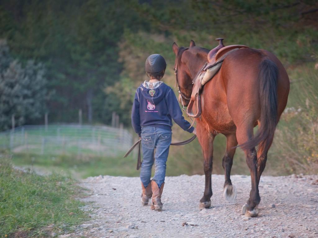 Tenuta La Silva Seggiano Exteriér fotografie